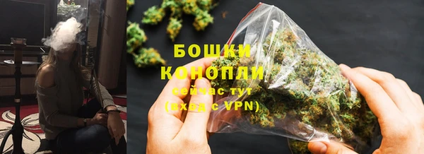 сатива Навашино