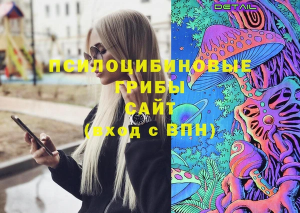 сатива Навашино