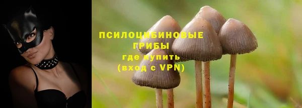 mix Надым