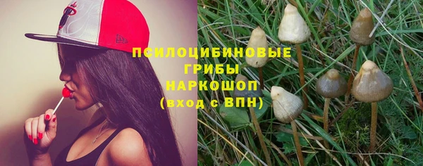 сатива Навашино
